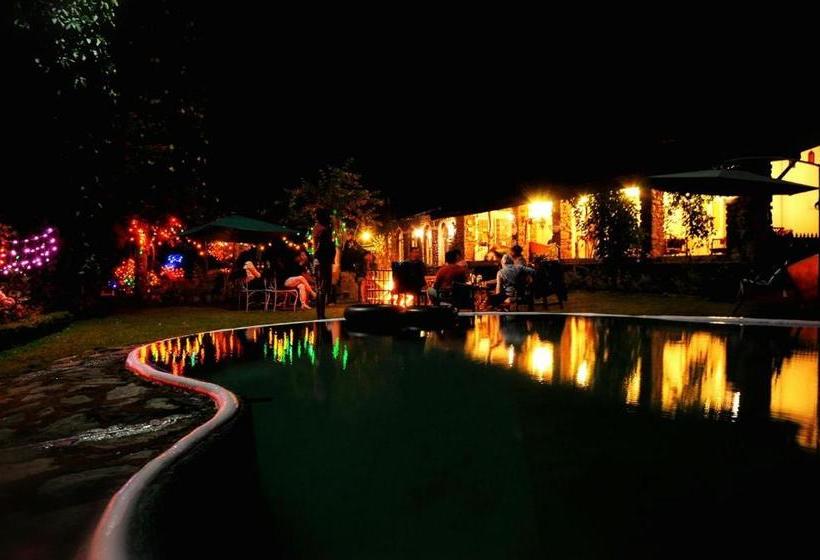 פנסיון Amberina