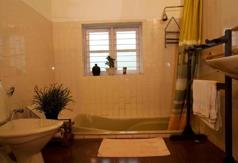 פנסיון Amberina