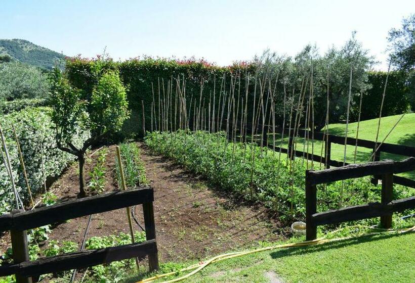 ペンション Locanda Pinocchio