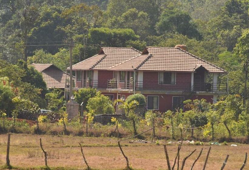 Pensão Vamoose Stream Edge Homestay