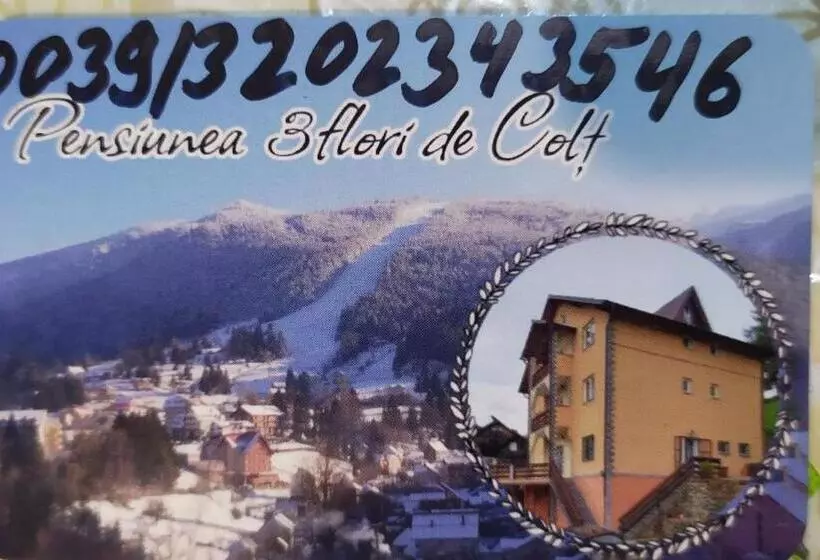 Pensiunea 3flori De Colț