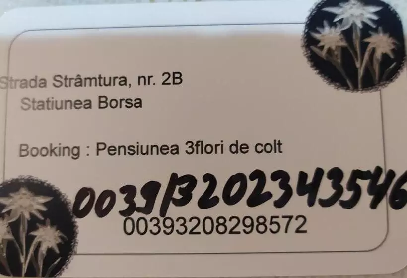 Pensiunea 3flori De Colț