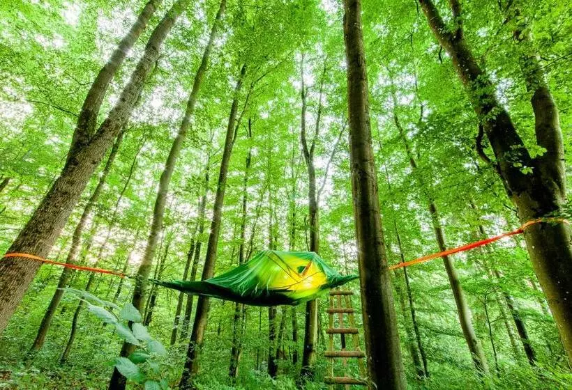 Hotelli Appartementhaus Eifeladventures