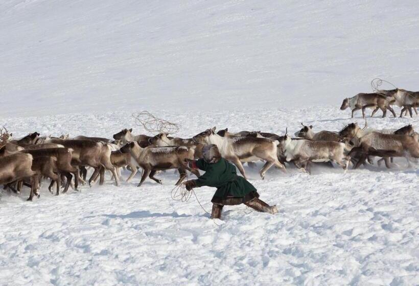 בית מלון כפרי L Klimpfjäll