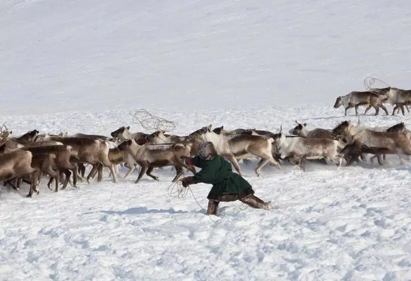 Hotelli L Klimpfjäll