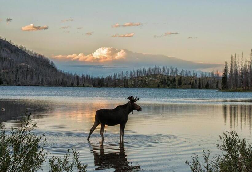 בית מלון כפרי L Klimpfjäll
