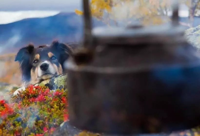 Hotelli L Klimpfjäll