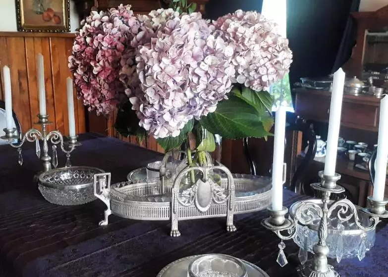 A Hotel Boutique Pelluhue