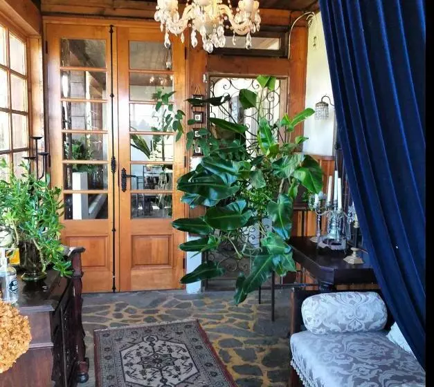 A Hotel Boutique Pelluhue