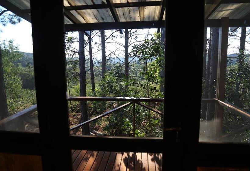 Hostel Piel De Timbó