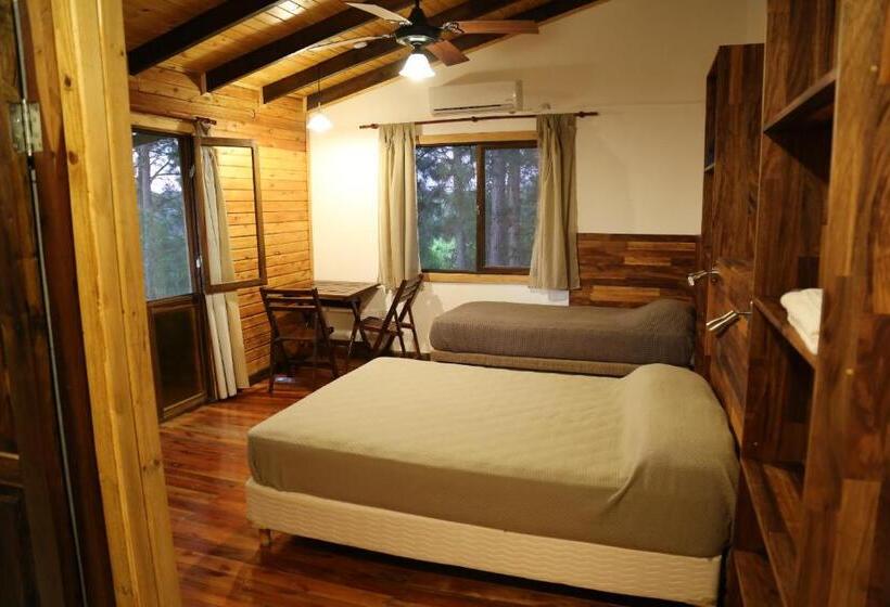 Hostel Piel De Timbó