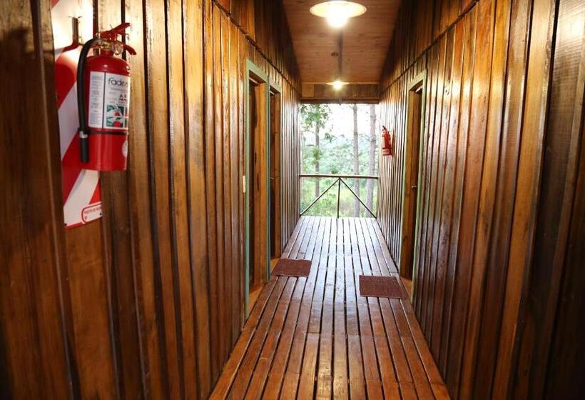 Hostel Piel De Timbó