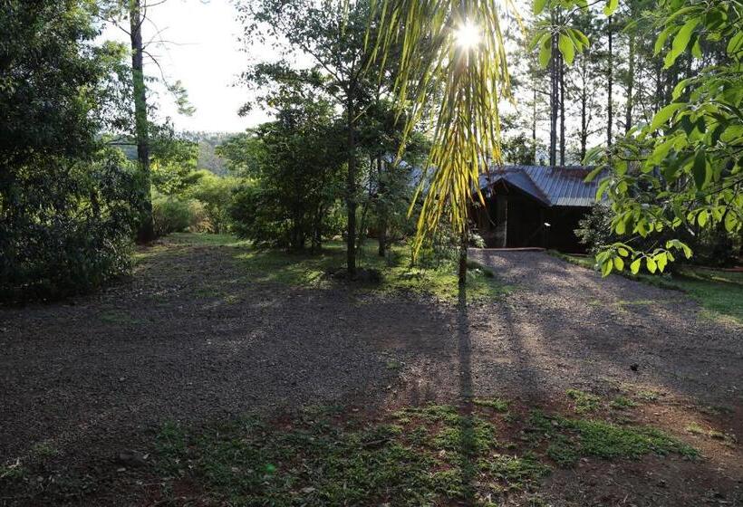 Hostel Piel De Timbó