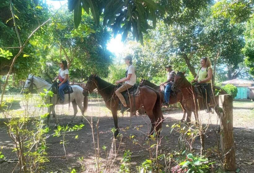 تختخواب و صبحانه Rosa's Lake Cabins