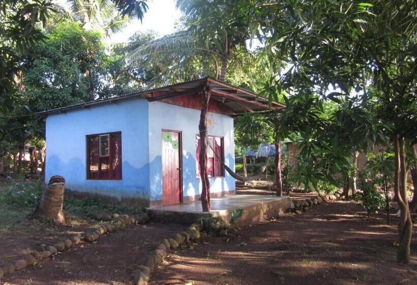 تختخواب و صبحانه Rosa's Lake Cabins