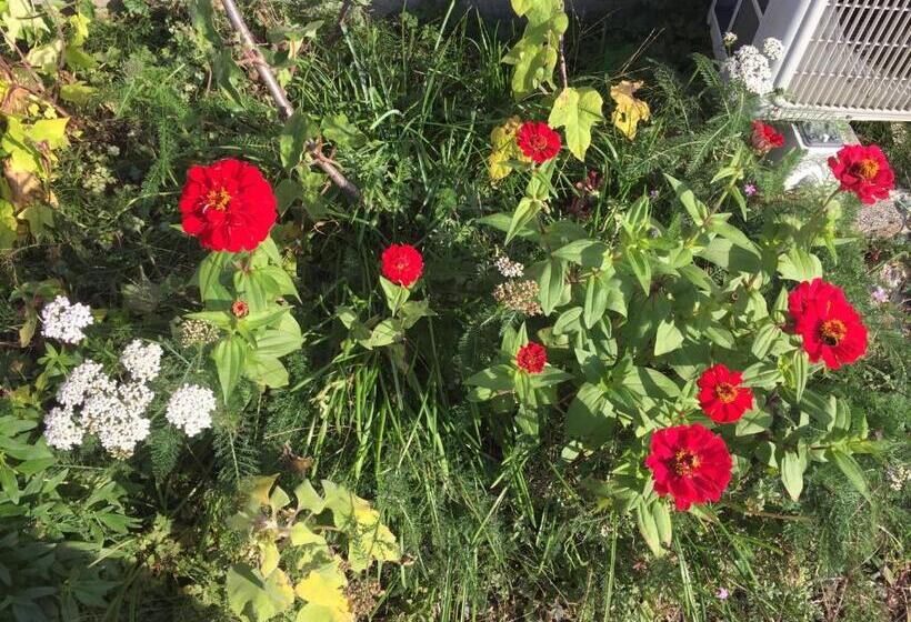 ペンション Cozy Penguin House Bibai