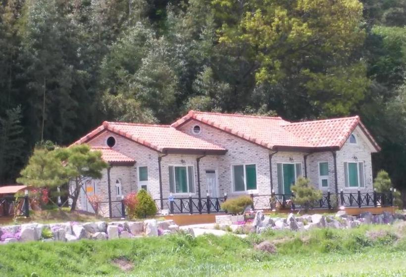 פנסיון Chungaram