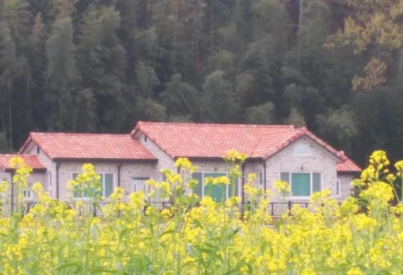 פנסיון Chungaram