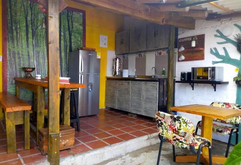 ペンション Hostal Macondo Inn