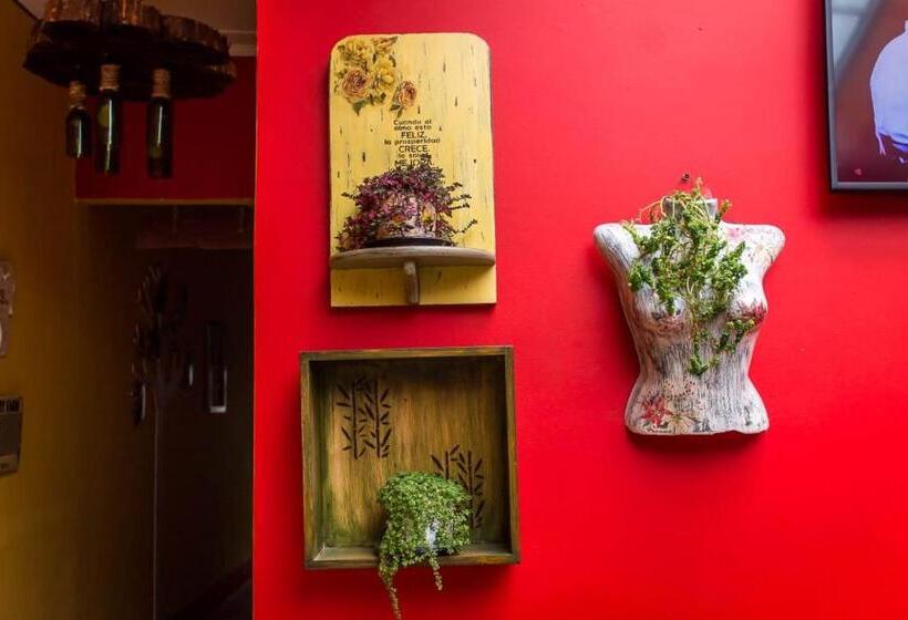 ペンション Hostal Macondo Inn