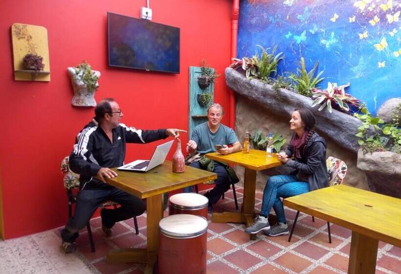 ペンション Hostal Macondo Inn