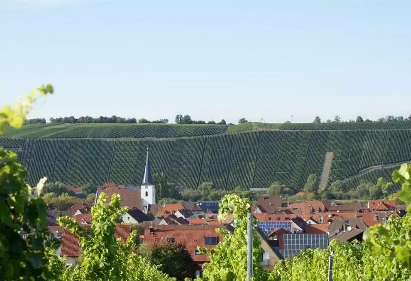 ユースホステル Weingut Und Gastehof Borst