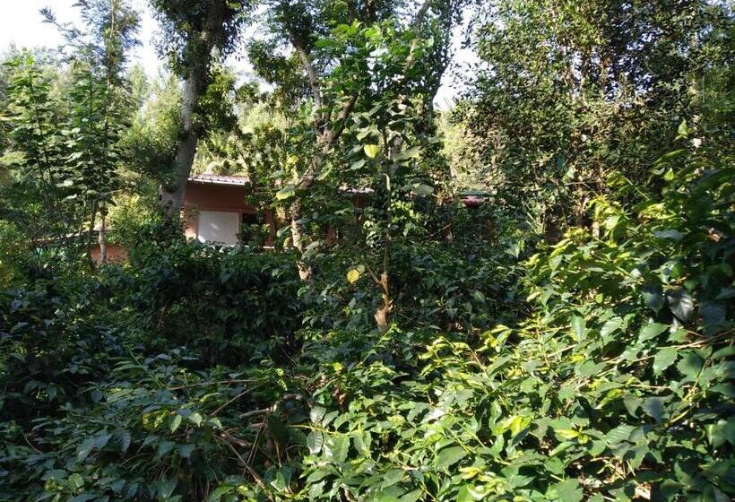 민박 Staysimple Spicefarm