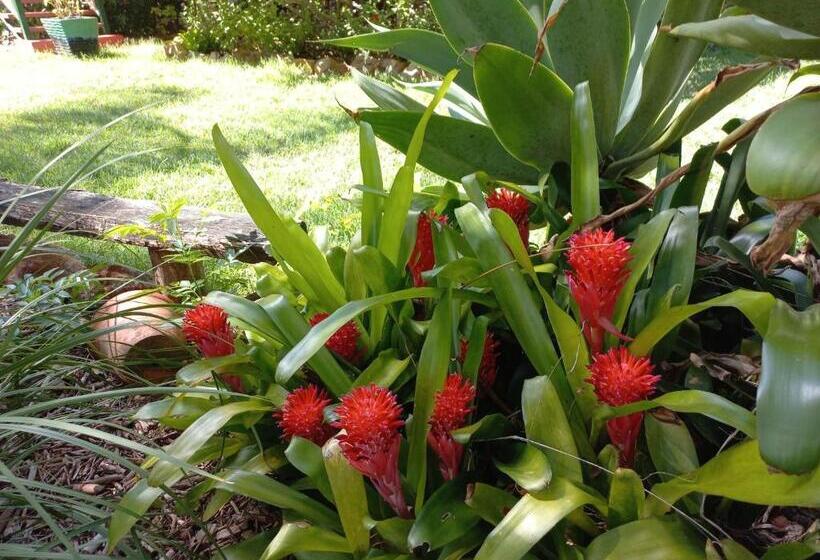 Bed and Breakfast Wondai Hideaway Apartment