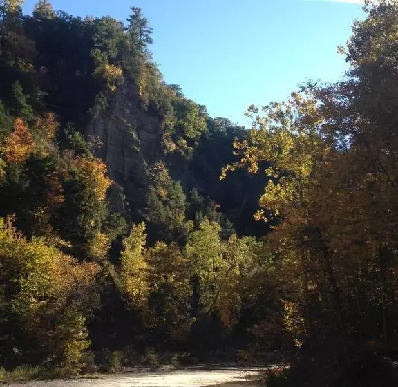 Glass Magnolia Bed & Breakfast