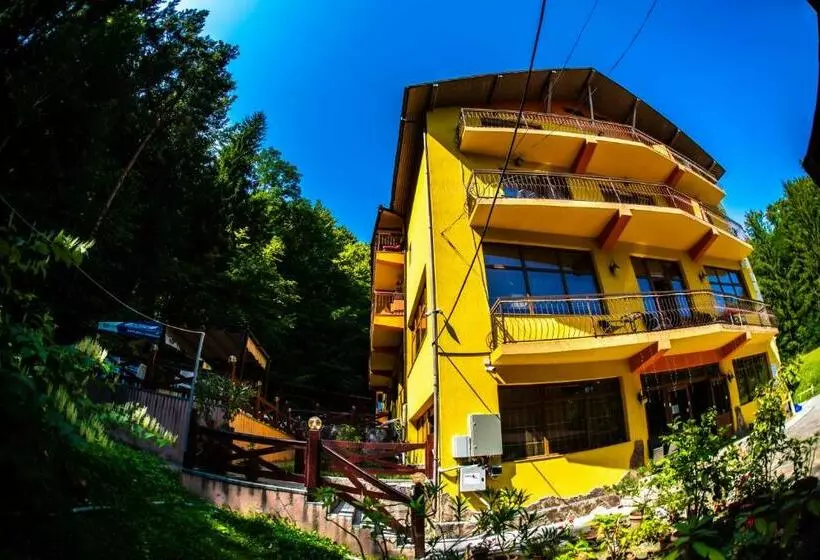 ホテル Trei Brazi