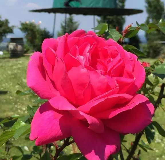 Panoramahotel Steirerland