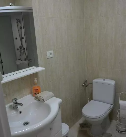 ペンション Casa Alin