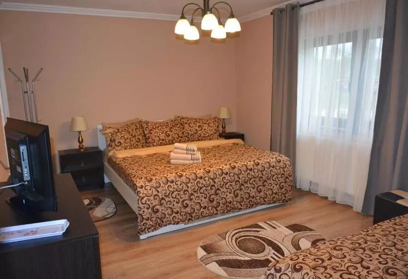 ペンション Casa Alin