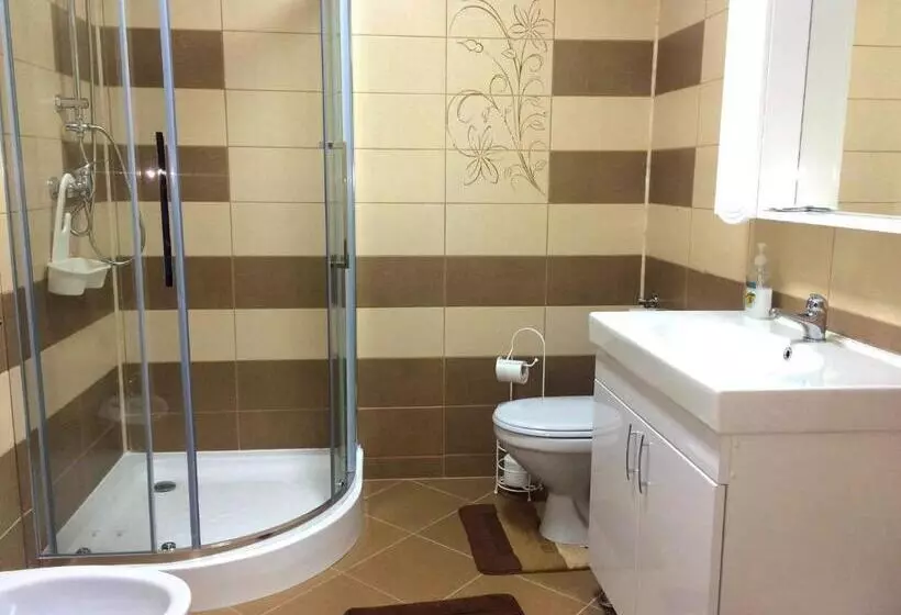 ペンション Casa Alin