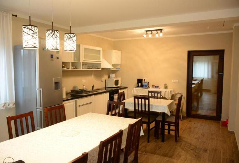 پانسیون Casa Alin