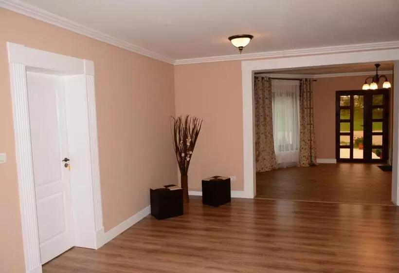 ペンション Casa Alin