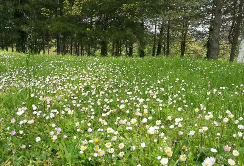 Majatalo Complex Ovchaga