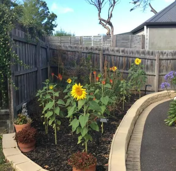 Majatalo Mt.martha Guesthouse By The Sea