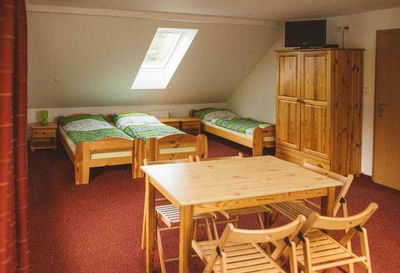 بنسيون Penzion U černého Potoka