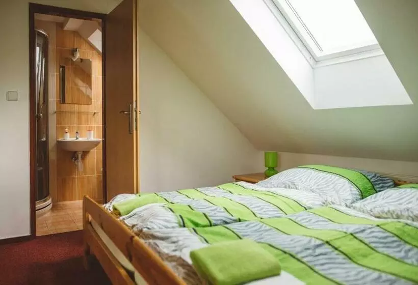 ペンション Penzion U černého Potoka