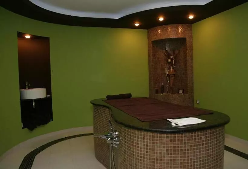 Spa Hotel Ata