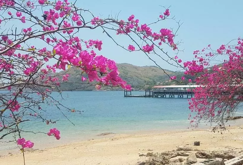 تختخواب و صبحانه Cerrito Tropical Eco Lodge