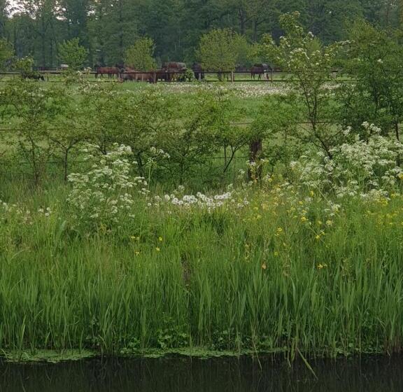 צימר Landgoed De Lavei