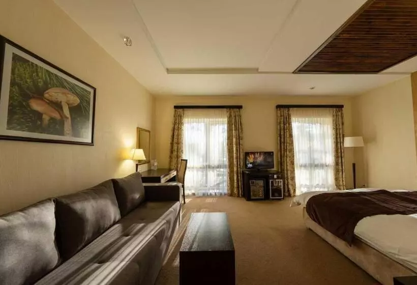 Hotelli Shishkinn Resort&spa