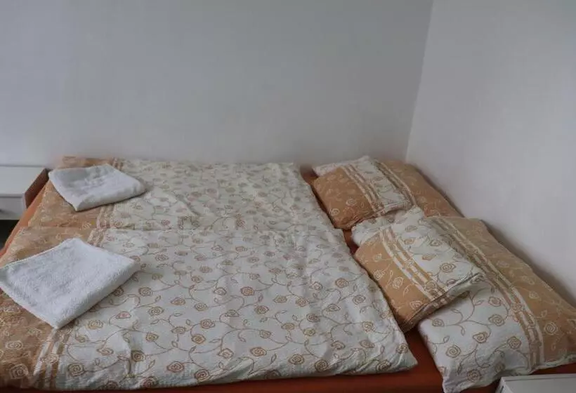 ホテル U Nádraží Lanžhot