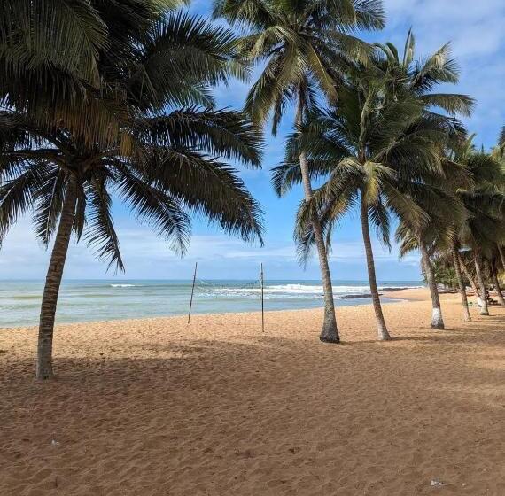 Пансион Afiki