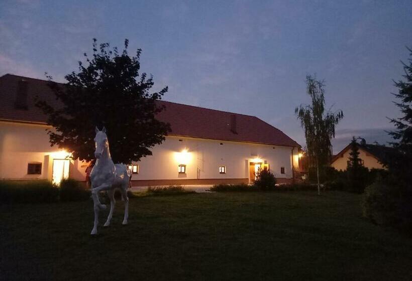 פנסיון Penzion U Sv. Jana   Kraselovský Dvůr