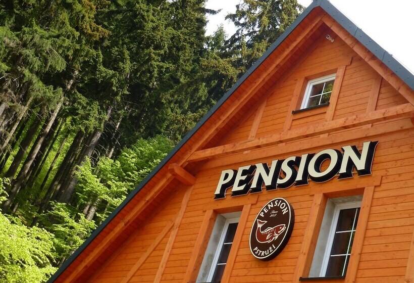 Pension Pstruží