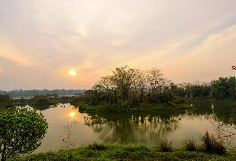 リゾートホテル The Riverwood Forest Retreat Dooars   Fully Vaccinated Staff