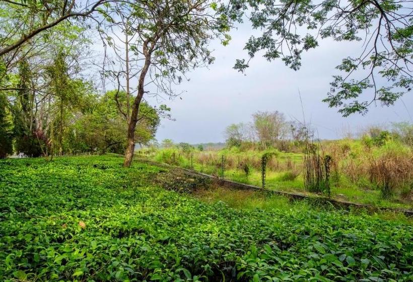 リゾートホテル The Riverwood Forest Retreat Dooars Fully Vaccinated Staff